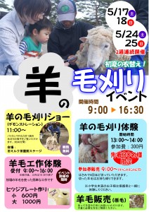 羊の毛刈りイベントWEB用