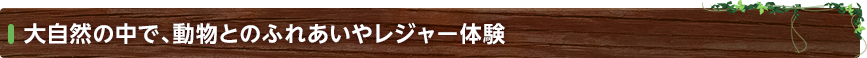 大自然の中で、動物とのふれあいやレジャー体験