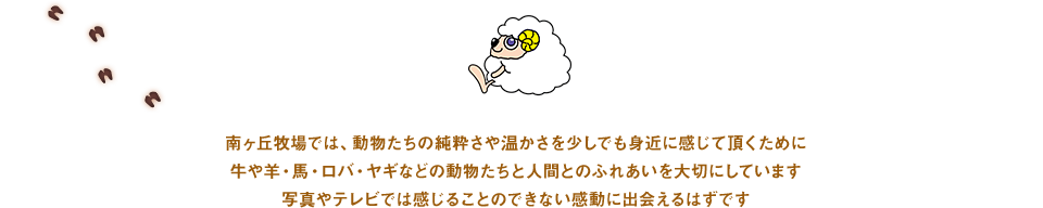 南ヶ丘牧場では、動物たちの純粋さや温かさを少しでも身近に感じて頂くために牛や羊・馬・ロバ・ヤギなどの動物たちと人間とのふれあいを大切にしています写真やテレビでは感じることのできない感動に出会えるはずです