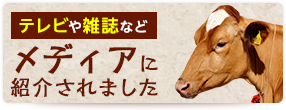 テレビや雑誌などメディアに紹介されました