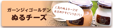 ガーンジィゴールデンぬるチーズ