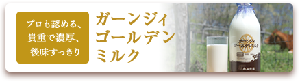 プロでも認める、貴重で濃厚、後味すっきり ガーンジィゴールデンミルク