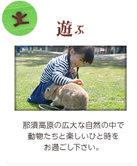 遊ぶ 那須高原の広大な自然の中で動物たちと楽しいひと時をお過ごし下さい。