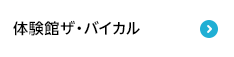 体験館ザ・バイカル