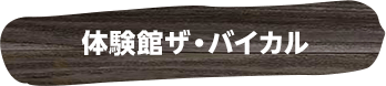 体験館ザ・バイカル