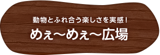 動物とふれ合う楽しさを実感！めぇ～めぇ～広場