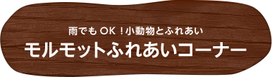 雨でもOK!小動物とふれあい モルモットふれあいコーナー