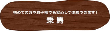 初めての方やお子様でも安心して体験できます！乗馬