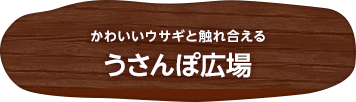 かわいいウサギと触れ合える うさんぽ広場