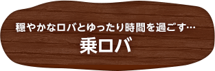 穏やかなロバとゆったり時間を過ごす…乗ロバ