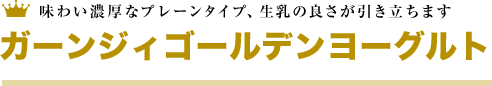 味わい濃厚なプレーンタイプ、生乳の良さが引き立ちます ガーンジィゴールデンヨーグルト