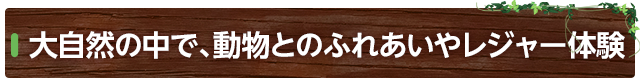 大自然の中で、動物とのふれあいやレジャー体験