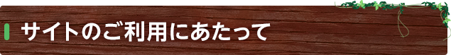 サイトのご利用にあたって