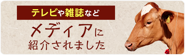 テレビや雑誌などメディアに紹介されました