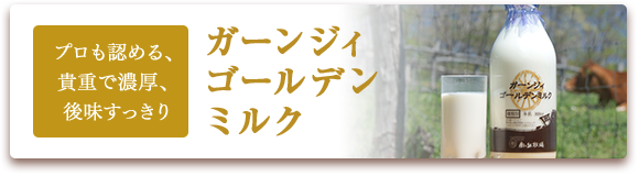 プロでも認める、貴重で濃厚、後味すっきり ガーンジィゴールデンミルク