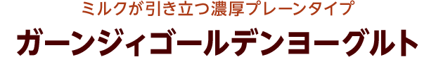 ミルクが引き立つ濃厚プレーンタイプ ガーンジィゴールデンヨーグルト