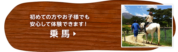 初めての方やお子様でも安心して体験できます！乗馬