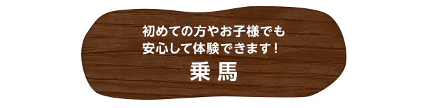 初めての方やお子様でも安心して体験できます！乗馬