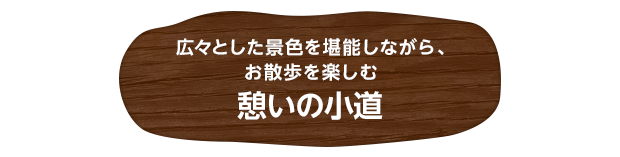 広々とした景色を堪能しながら、お散歩を楽しむ 憩いの小道