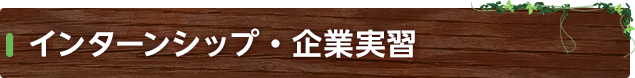 インターンシップ・企業実習