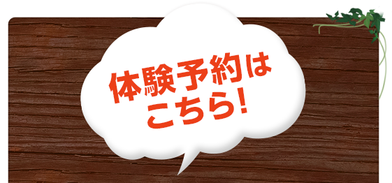 体験予約はこちら