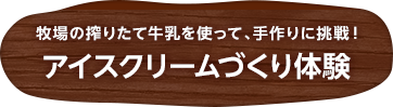 アイスクリームづくり体験