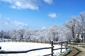 雪景色2