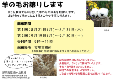 画像中央下