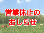 全営業施設休止のお知らせ