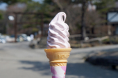季節限定いちごソフトクリーム発売