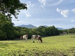 2025年夏の牧場のおしらせ