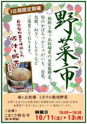 画像中央上