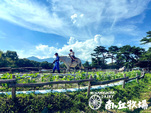 2025年夏のご案内