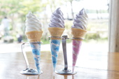 【季節限定】クリームチーズソフト・ブルーベリーソフト販売